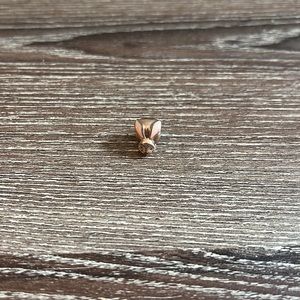 Pandora bunny charm!!